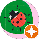 Coccinelle profile picture
